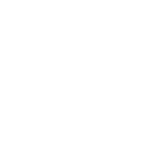 SSAA NSW LOGO