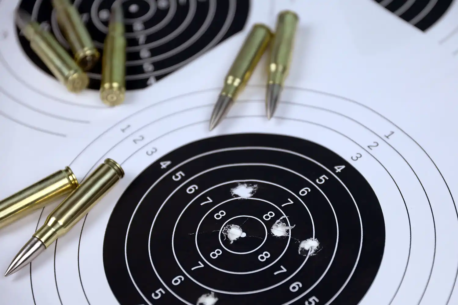 Shooting Disciplines - SSAA NSW - Long Range Precision